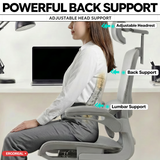 Ergoreal Ergo Pro エルゴノミックオフィスチェア ER-25W05-EU グレー